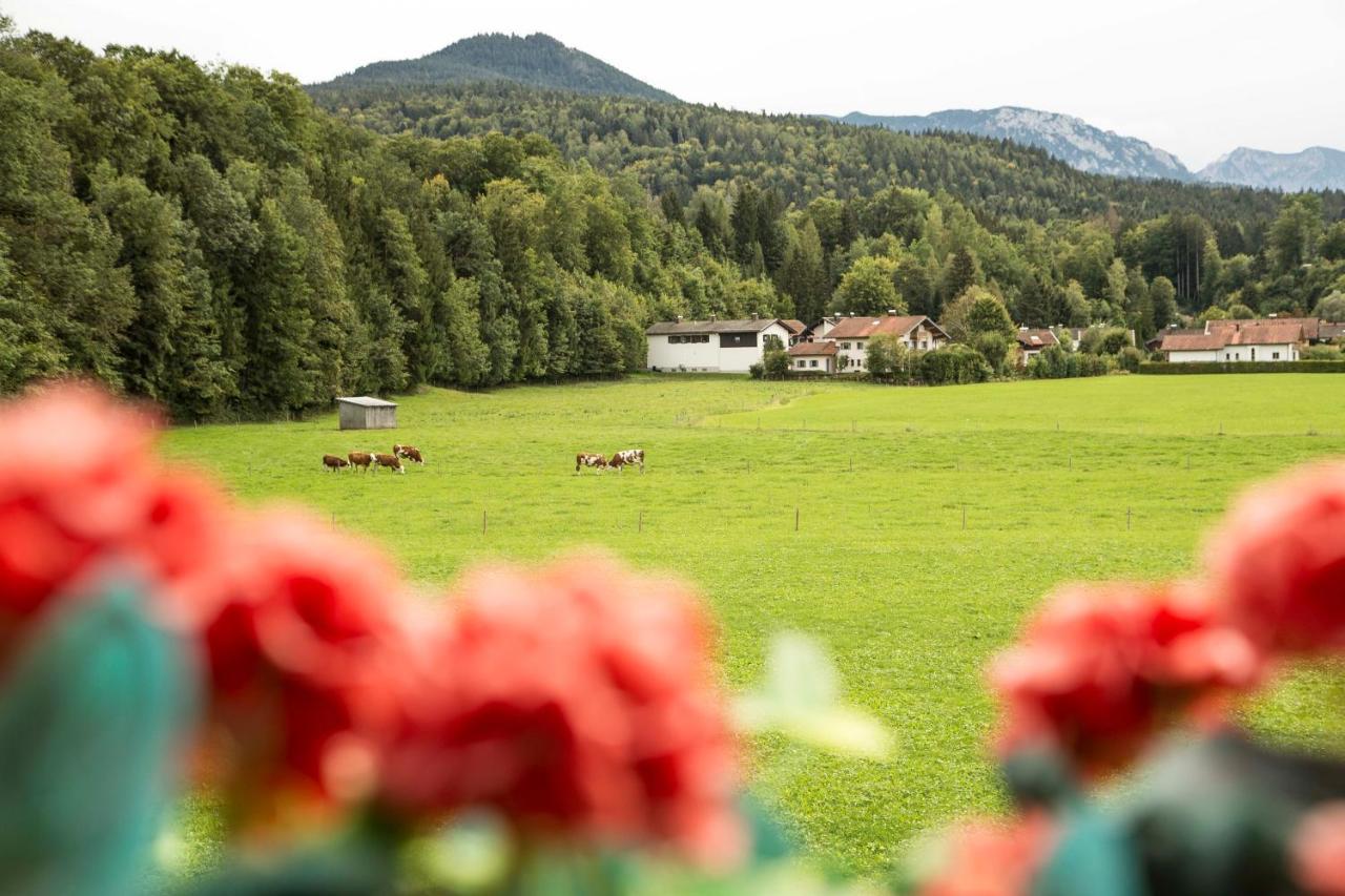 Ferienwohnungen Am Alpenrand Зигсдорф Экстерьер фото